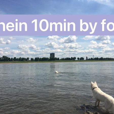 Igo Apartment 2 Schlafenzimmer Mit Waschmaschine Trockner Haustier Rheinufer 5Min Netflix Disney Plus 17-6 Duisburg Exteriör bild