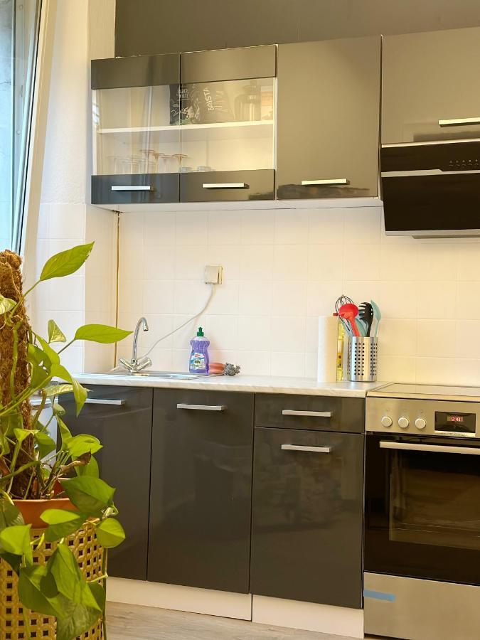 Igo Apartment 2 Schlafenzimmer Mit Waschmaschine Trockner Haustier Rheinufer 5Min Netflix Disney Plus 17-6 Duisburg Exteriör bild